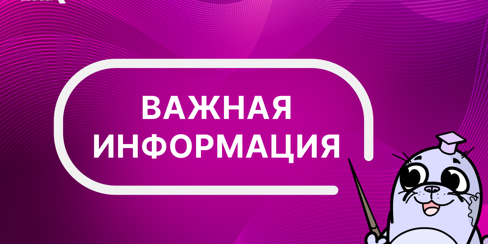 Важная информация